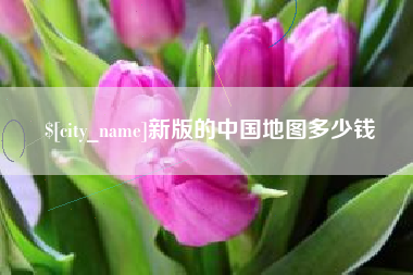 孟津新版的中国地图多少钱