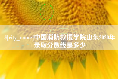 孟津中国消防救援学院山东2020年录取分数线是多少