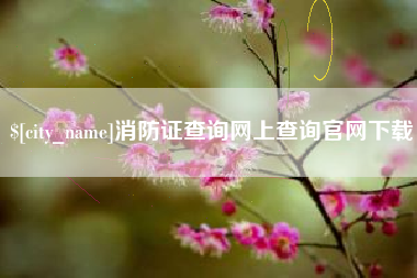 孟津消防证查询网上查询官网下载