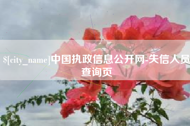 孟津中国执政信息公开网-失信人员查询页