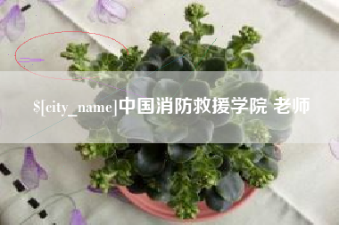 孟津中国消防救援学院 老师