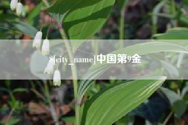 孟津中国第9金