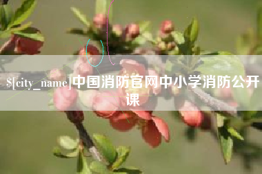 孟津中国消防官网中小学消防公开课