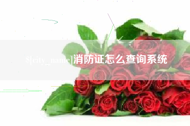 孟津消防证怎么查询系统