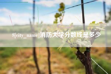孟津消防大学分数线是多少