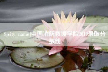 孟津中国消防救援学院2019录取分数线