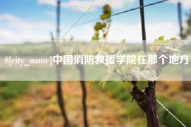 孟津中国消防救援学院在那个地方