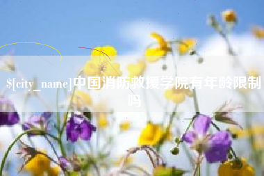 孟津中国消防救援学院有年龄限制吗