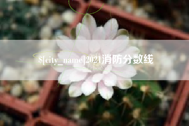 孟津2021消防分数线