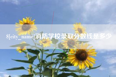 孟津消防学校录取分数线是多少