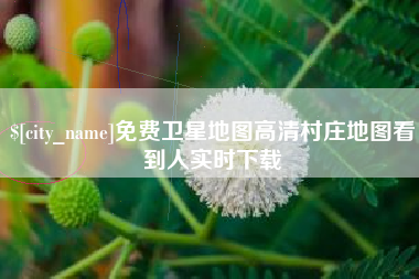 孟津免费卫星地图高清村庄地图看到人实时下载