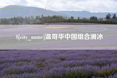 孟津温哥华中国组合滑冰