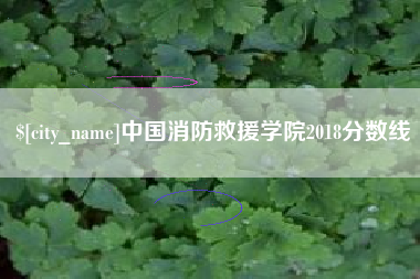 孟津中国消防救援学院2018分数线