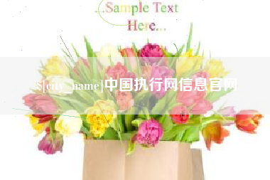 孟津中国执行网信息官网