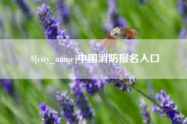孟津中国消防报名入口