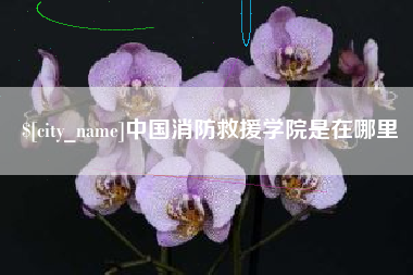孟津中国消防救援学院是在哪里