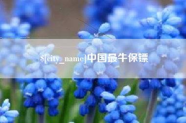 孟津中国最牛保镖