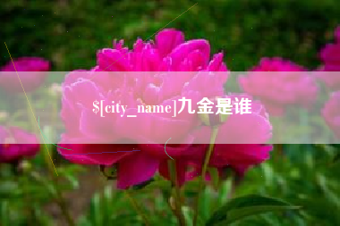 孟津九金是谁