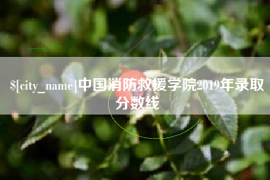 孟津中国消防救援学院2019年录取分数线
