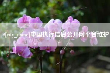 孟津中国执行信息公开网平台维护