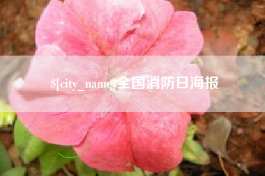 孟津全国消防日海报