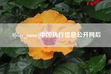 孟津中国执行信息公开网后