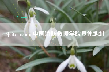 孟津中国消防救援学院具体地址