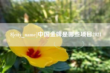 孟津中国金牌是哪些项目2021