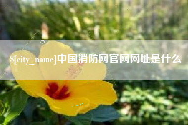 孟津中国消防网官网网址是什么