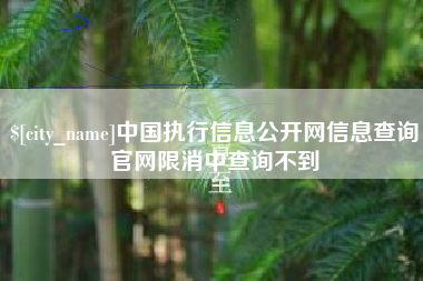 孟津中国执行信息公开网信息查询官网限消中查询不到