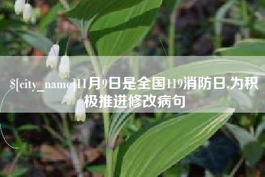 孟津11月9日是全国119消防日,为积极推进修改病句