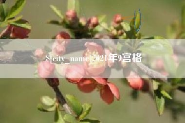 孟津2021年9宫格