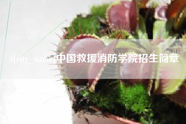 孟津中国救援消防学院招生简章
