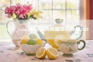 孟津中国消防救援学院分数2020