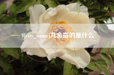 孟津九金指的是什么