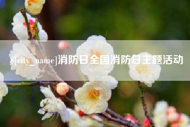 孟津消防日全国消防日主题活动