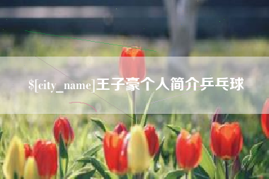 孟津王子豪个人简介乒乓球