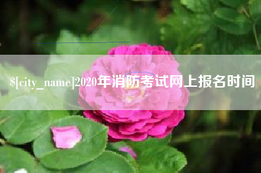 孟津2020年消防考试网上报名时间