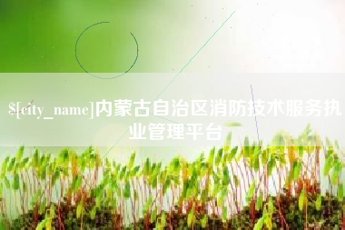 孟津内蒙古自治区消防技术服务执业管理平台
