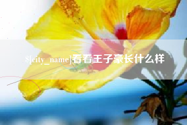 孟津看看王子豪长什么样