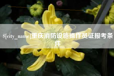 孟津重庆消防设施操作员证报考条件