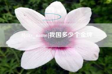 孟津我国多少个金牌