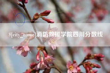 孟津消防救援学院四川分数线