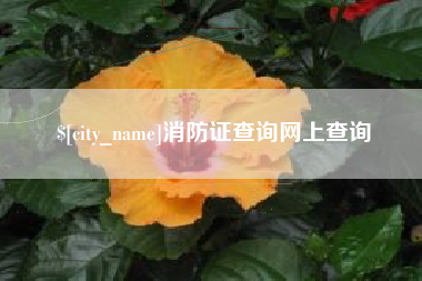 孟津消防证查询网上查询