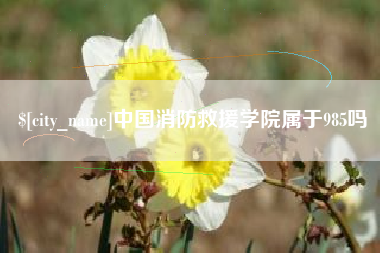 孟津中国消防救援学院属于985吗