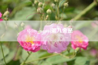 孟津第九金是