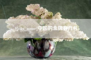 孟津中国的金牌有几名