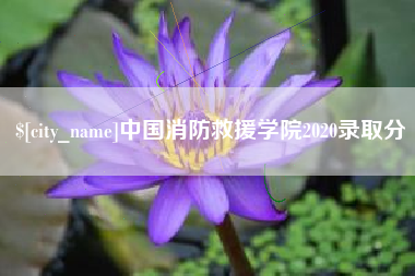 孟津中国消防救援学院2020录取分