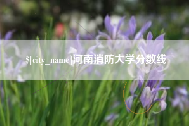 孟津河南消防大学分数线
