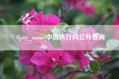 孟津中国执行网公开查询